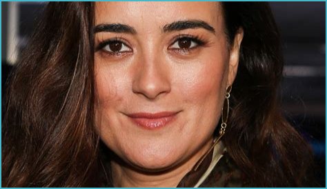 The Real Reason Cote De Pablo Quit NCIS Only Days Before Filming